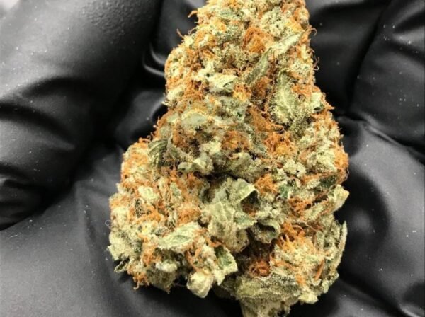 Purple-Cookie-Dawg-INDICA-3.5G.jpg